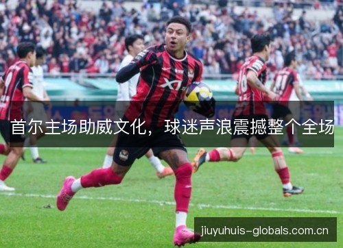 首尔主场助威文化,球迷声浪震撼整个全场 首尔主场助威文化,球迷声浪震撼整个全场